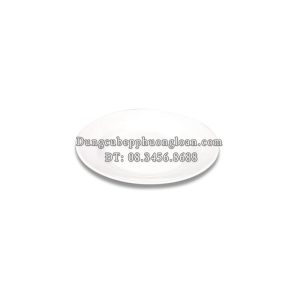 Đĩa nhựa phíp DC12