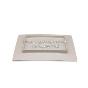 PV088-10 Đĩa chữ nhật nhám 10'' (Nâu đá)