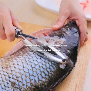 Đánh vẩy cá Inox 304 (JH-Z27)
