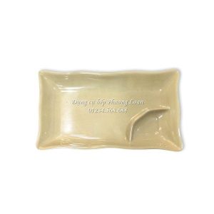 Đĩa chữ nhật có ngăn chấm 3004AA